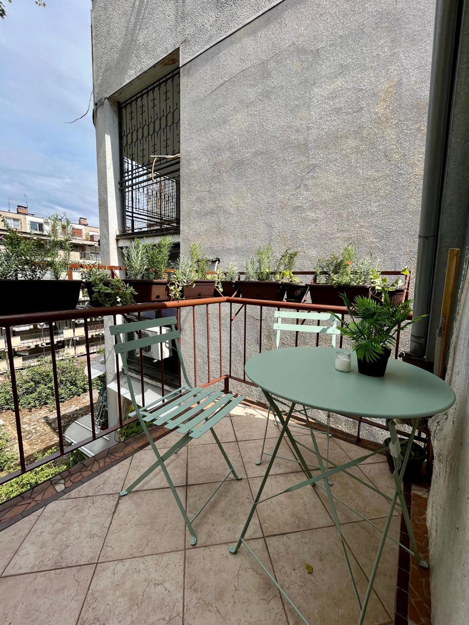 דירות בלגרד Urban Oasis מראה חיצוני תמונה