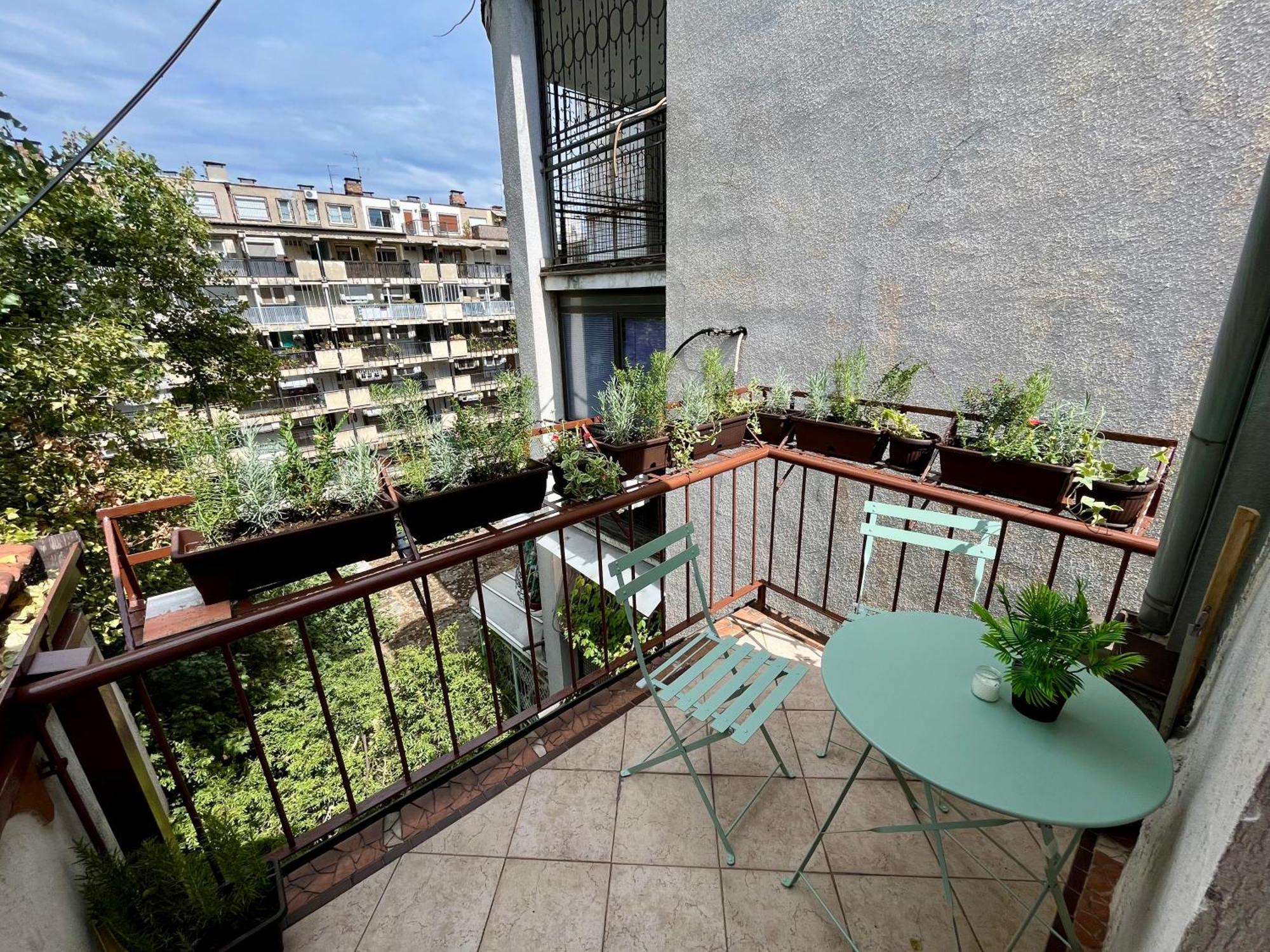 דירות בלגרד Urban Oasis מראה חיצוני תמונה